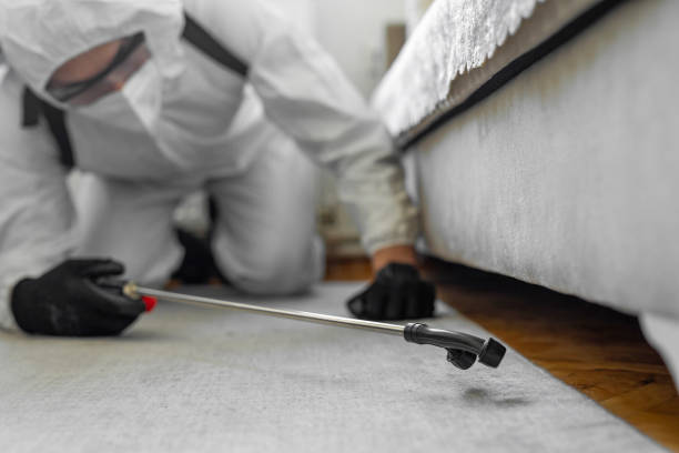 Professional Pest Control technician working in Abilene, KS