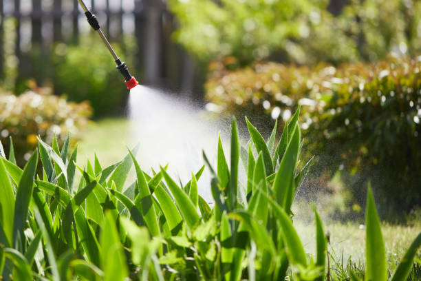 24/7 Emergency Pest Control experts in Abilene, KS