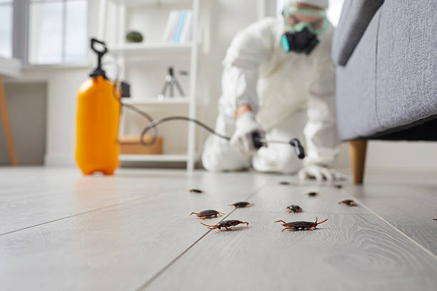 Affordable Pest Control solutions in Abilene, KS